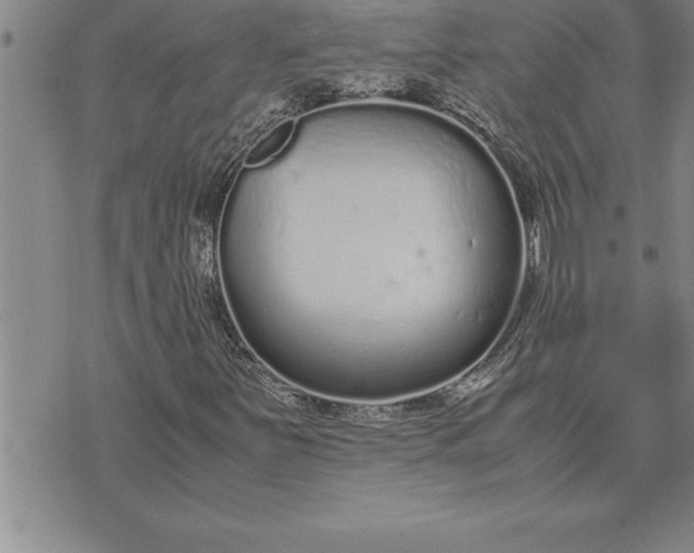 X0000071831251200607141651