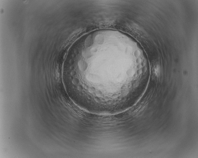 X0000071831252200607141651