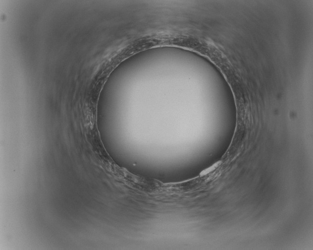 X0000071831253200607141651