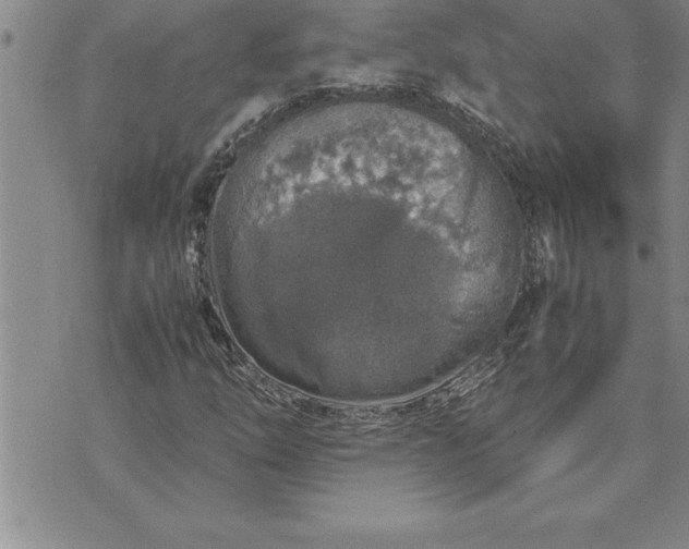 X0000071831254200607141651