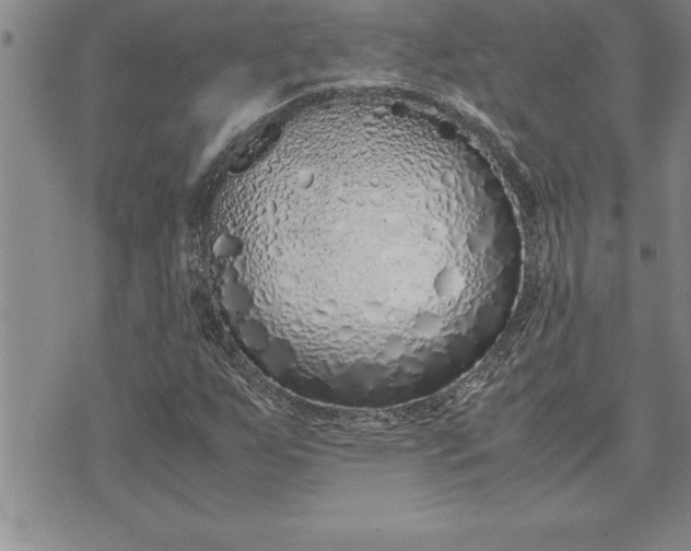 X0000071831255200607141651