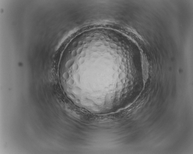 X0000071831256200607141651