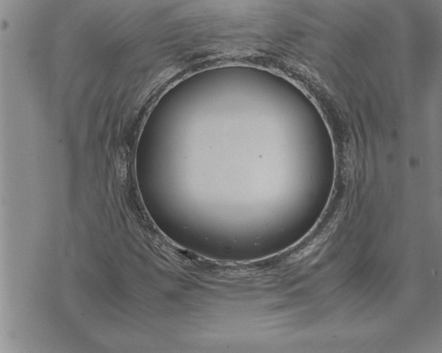 X0000071831257200607141651