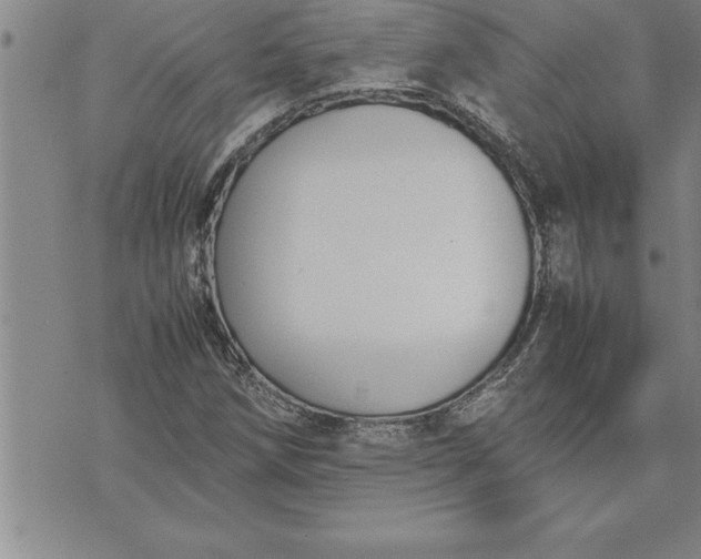 X0000071831258200607141651