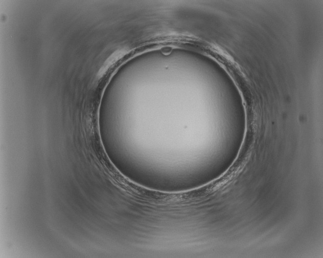 X0000071831259200607141651