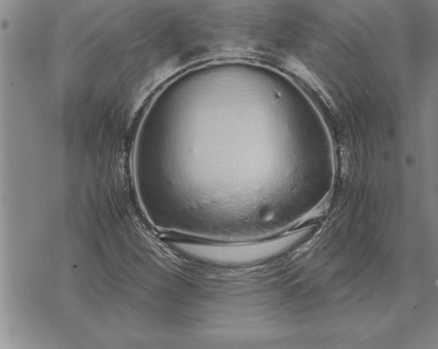 X0000071831260200607141651