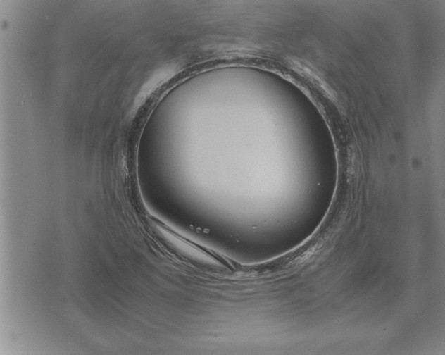 X0000071831261200607141651