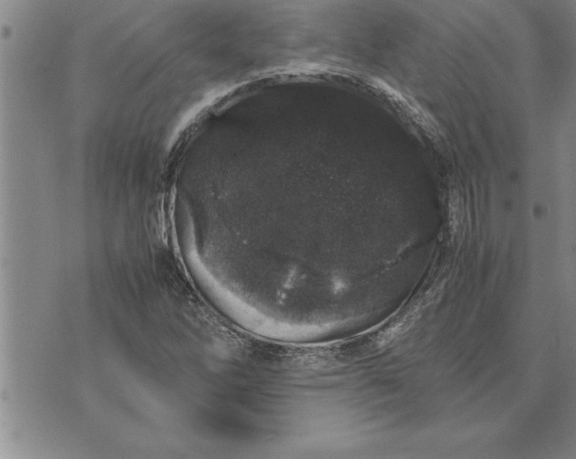 X0000071831262200607141651