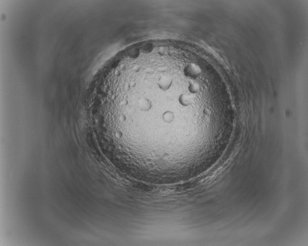 X0000071831263200607141651