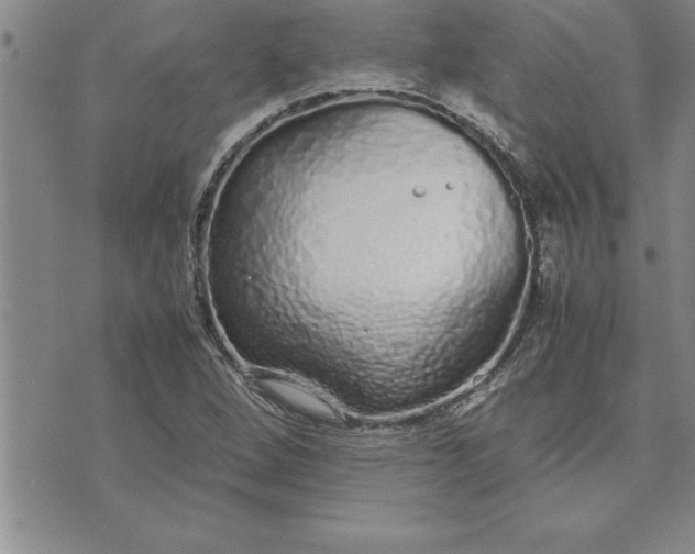 X0000071831264200607141651