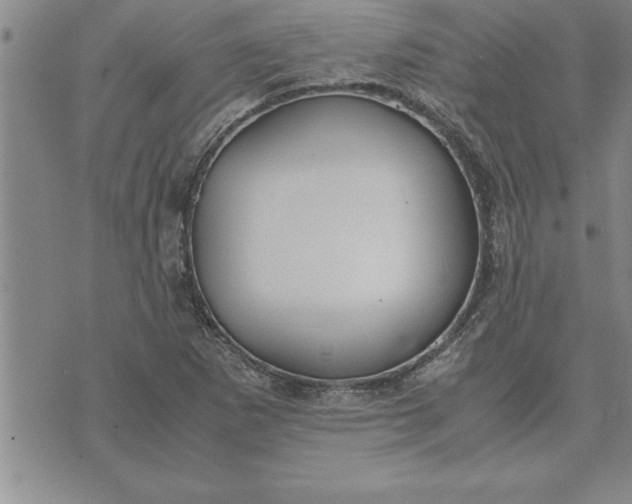 X0000071831265200607141651