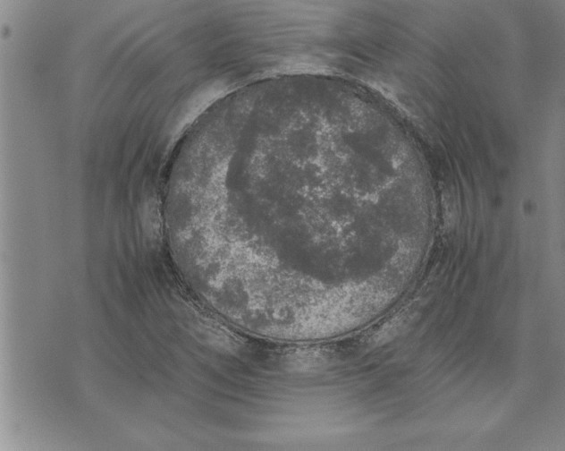 X0000071831266200607141651