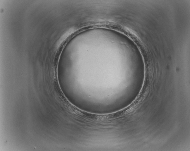 X0000071831267200607141651