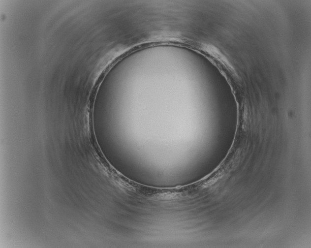 X0000071831268200607141651