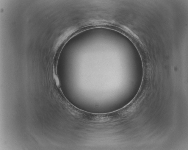 X0000071831269200607141651