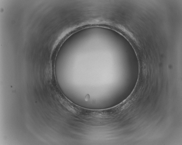 X0000071831270200607141651