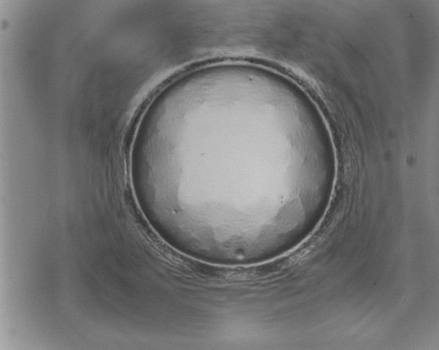 X0000071831271200607141651