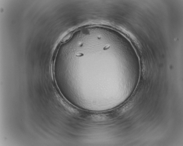 X0000071831272200607141651