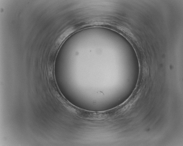 X0000071831273200607141651