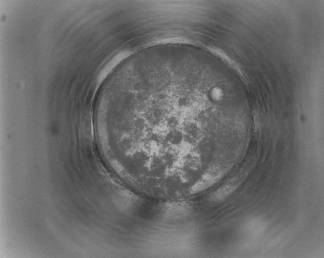 X0000071831274200607141651