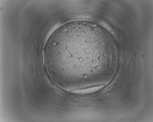 X0000071831275200607141651