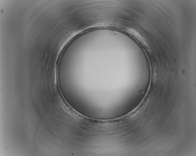 X0000071831276200607141651