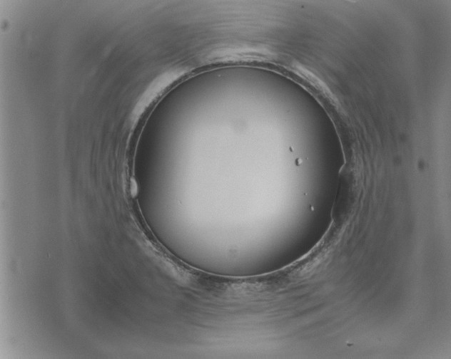 X0000071831277200607141651