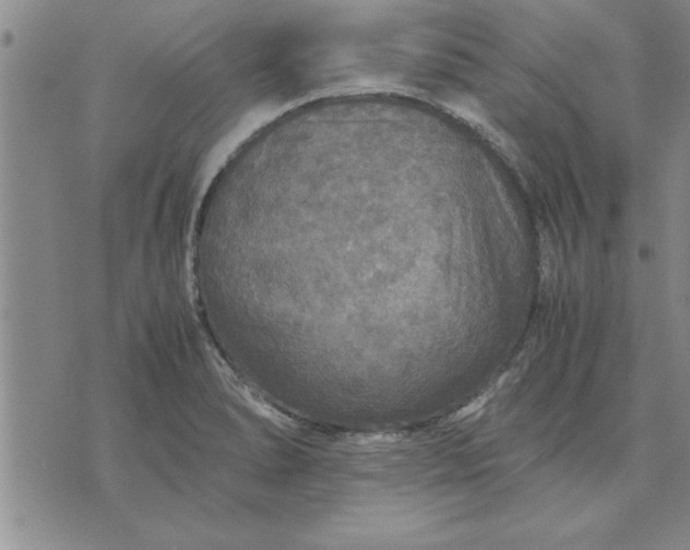 X0000071831278200607141651