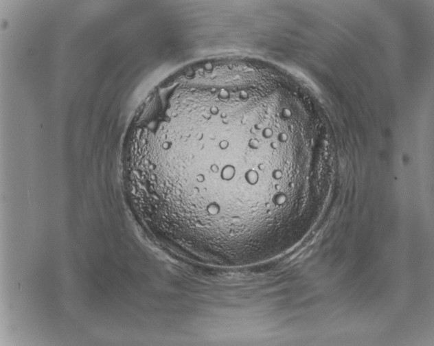 X0000071831279200607141651