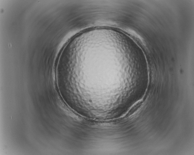 X0000071831280200607141651