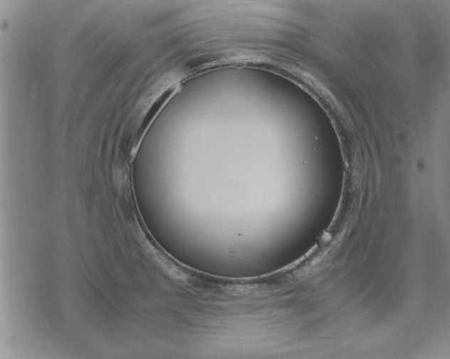 X0000071831281200607141651