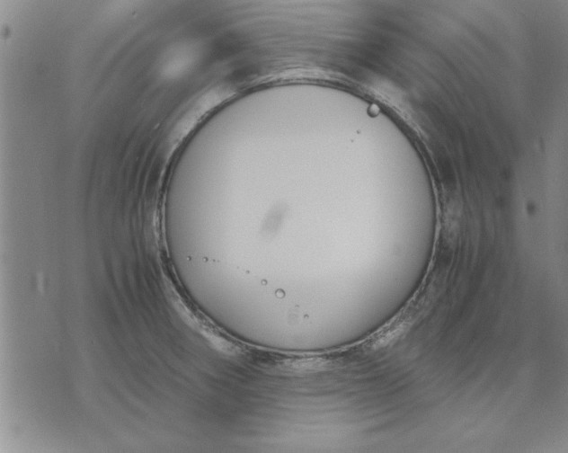 X0000071831282200607141651