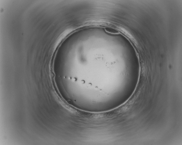 X0000071831283200607141651