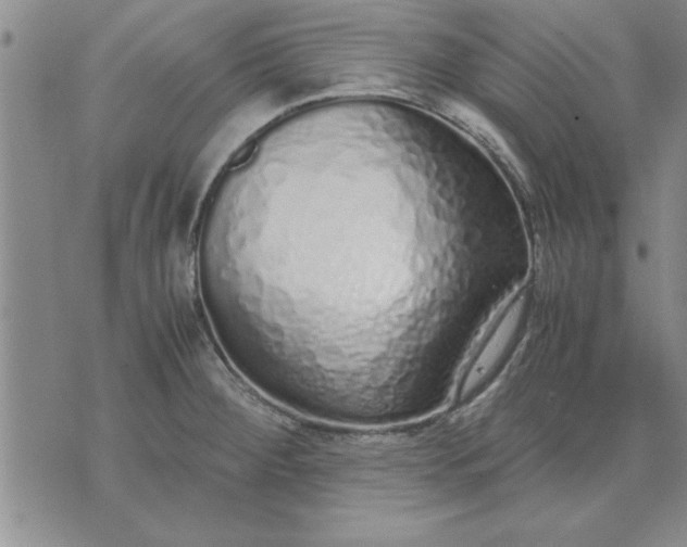 X0000071831284200607141651