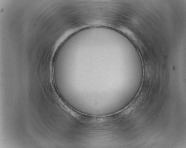 X0000071831286200607141651