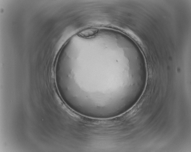 X0000071831287200607141651