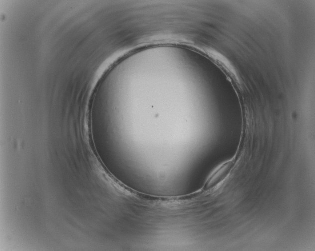 X0000071831288200607141651