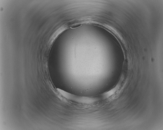 X0000071831289200607141651