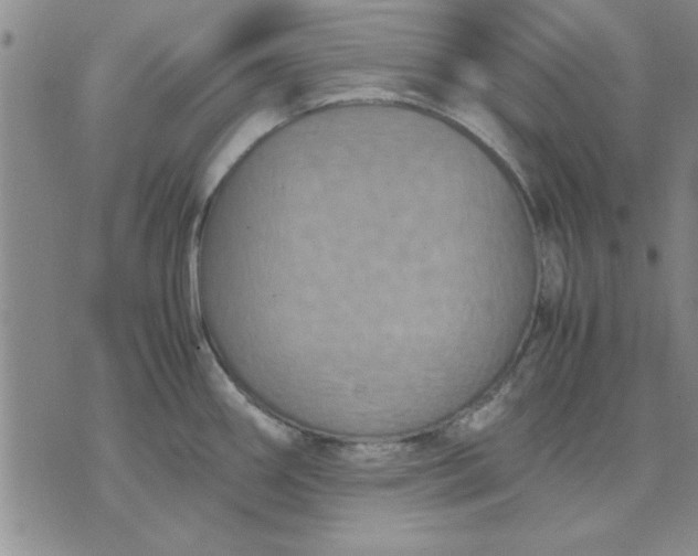 X0000071831290200607141651