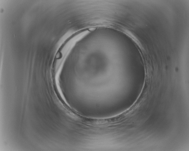 X0000071831291200607141651