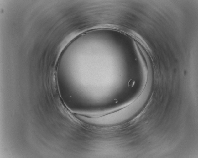 X0000071831292200607141651