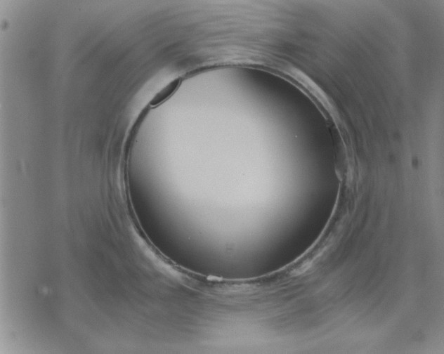 X0000071831293200607141651