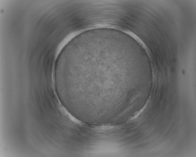 X0000071831294200607141651