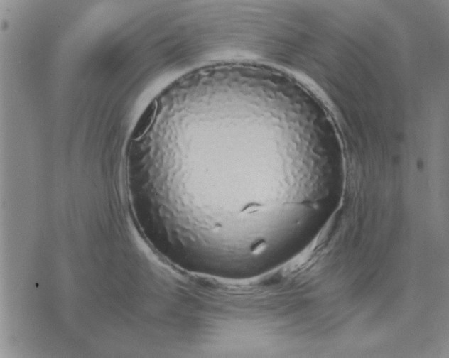 X0000071831295200607141651