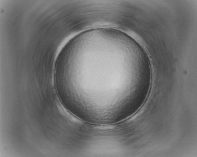 X0000071831296200607141651