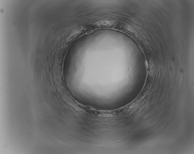 X0000071831297200607141650