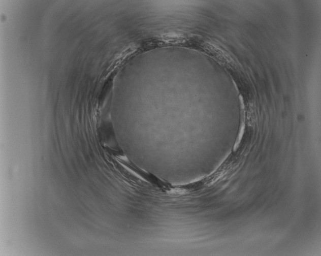 X0000071831298200607141650