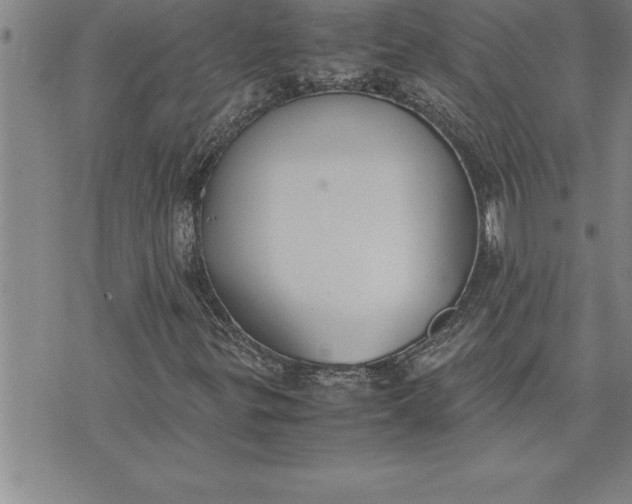 X0000071831299200607141650