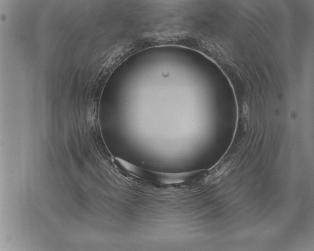 X0000071831300200607141650