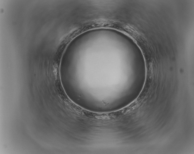 X0000071831302200607141650